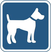 animaux